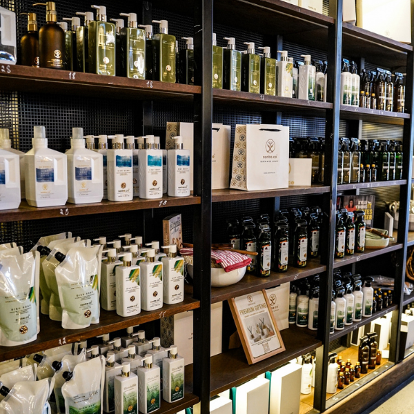 Bottega Coco_BAM.png